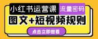 小红书运营课 图文+短视频规则