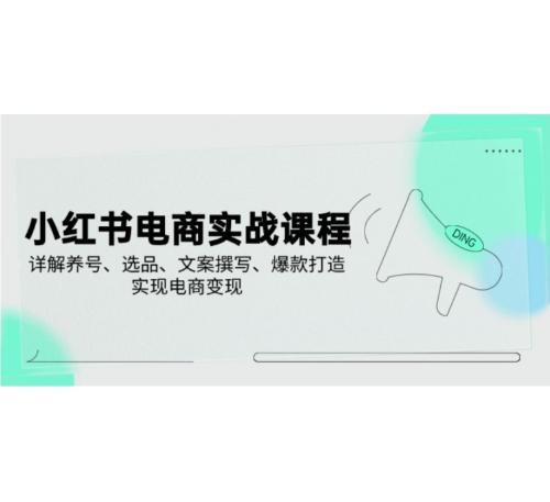 小红书电商实战课程，详解养号、选品、文案撰写、爆款打造，实现电商变现