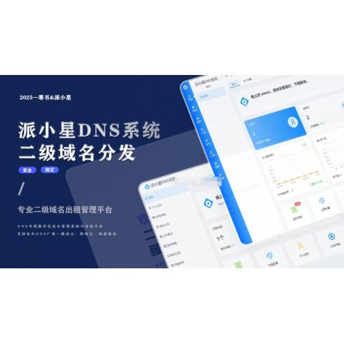 2025派小星DNS二级域名分发公测免费版