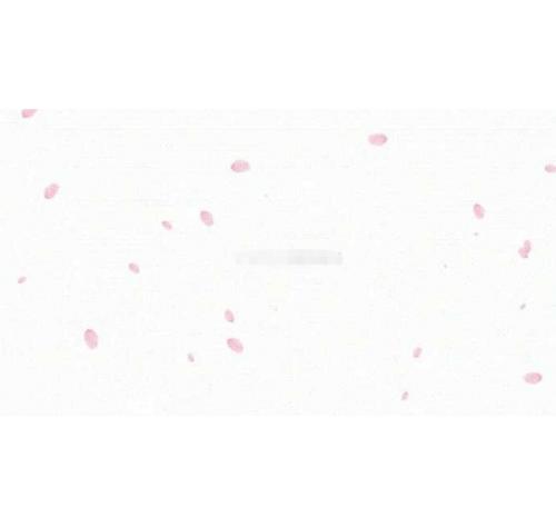 网站PC端樱花掉落特效JS代码