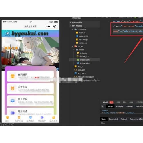 网站转小程序 任意网址打包成小程序源码
